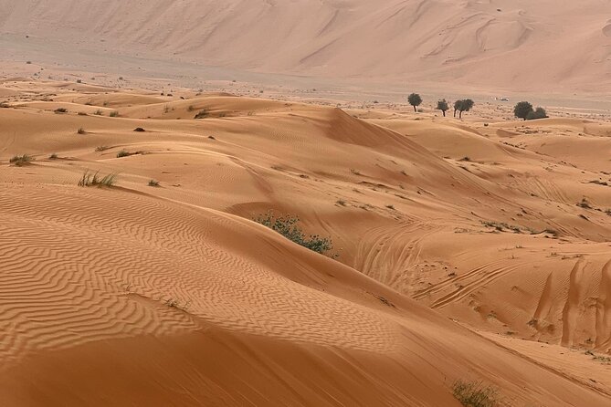 Arabian Dune Buggy Adventure - Is $195.39 a fair price?