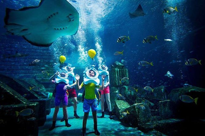 Atlantis Lost-Chamber Aquarium Dubai - A closer look at the animal-care concern