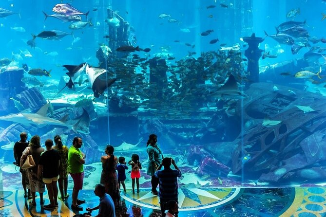Atlantis Lost-Chamber Aquarium Dubai - Is $61.67 a fair price?