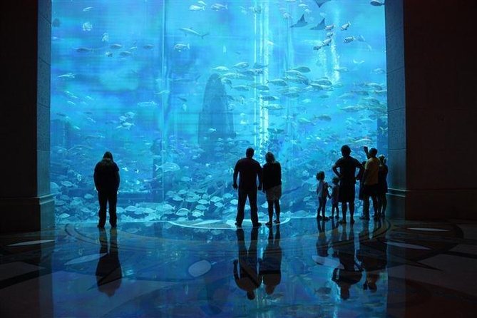 Atlantis Lost-Chamber Aquarium Dubai - Getting to Atlantis, The Palm
