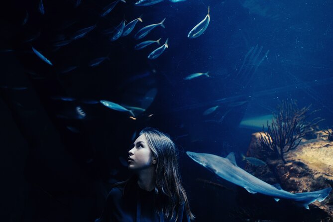 Burj Khalifa and Dubai Aquarium Combo Entrance Ticket - Dubai Aquarium and Underwater Zoo: what the basic ticket gives you