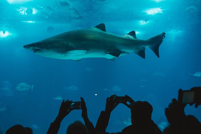 Burj Khalifa and Dubai Aquarium Combo Entrance Ticket - Who should book this combo?