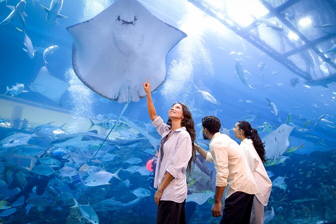 Burj Khalifa At the Top & Dubai Aquarium Combo Entrance Tickets - Who will enjoy this experience most