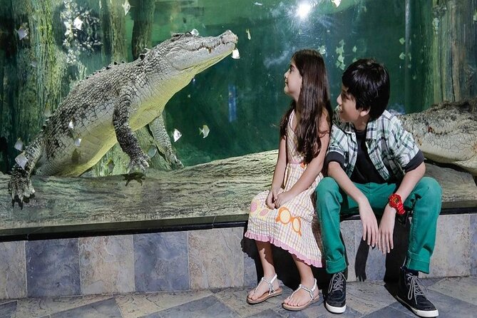 Burj Khalifa At The Top & Underwater Zoo Aquarium with Transfer - Should you book the Burj Khalifa and aquarium combination?