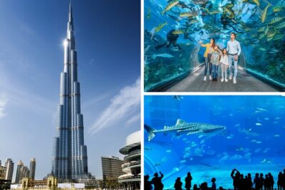 Burj Khalifa, Dubai Aquarium & UWZ with Penguin Cove Entry Ticket