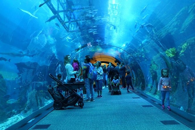 Burj Khalifa, Dubai Aquarium & UWZ with Penguin Cove Entry Ticket - How much value do you get for $112.79?