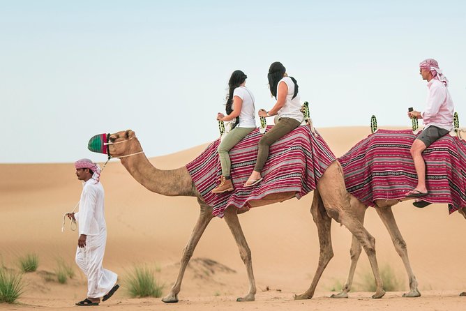 Camel Trekking Dubai with Dune Bashing and Sand Boarding - What the guide can add to the day