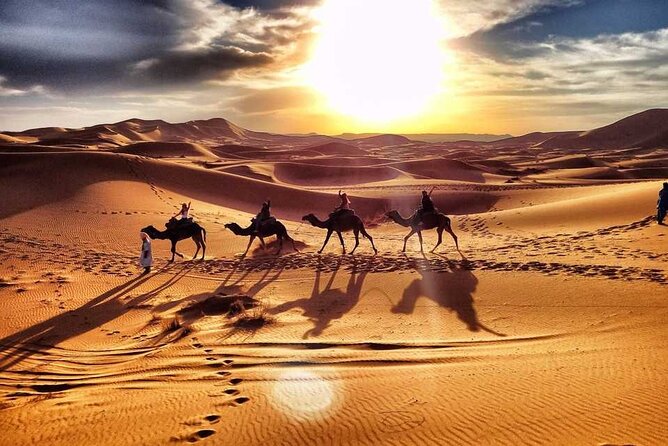 Camel Trekking Dubai with Dune Bashing and Sand Boarding - Dune bashing, with real speed and real motion