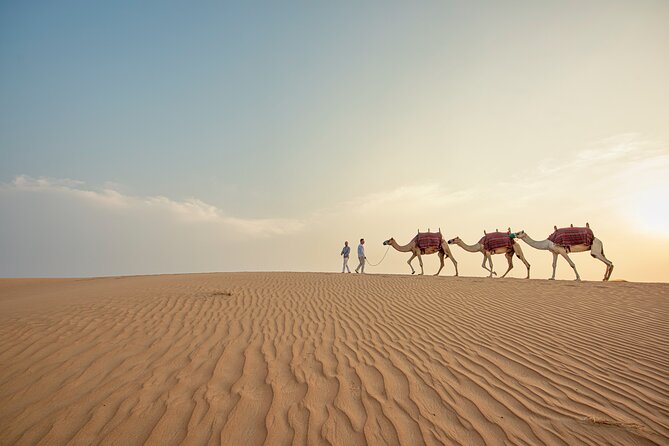 Caravanserai Exclusive Safari - What the six-hour Caravanserai safari is really like