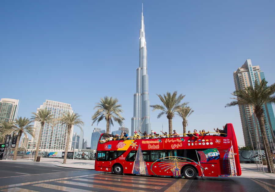 City Sightseeing Dubai HOHO Bus Tour, Aquaventure & More - Key points to know before you book