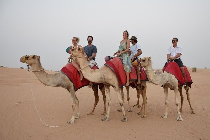 Classic Dubai Desert Safari with BBQ Dinner and Camp activities - BBQ dinner and the evening show