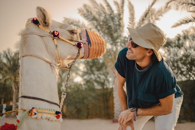 Combo:Deluxe Desert Safari with dinner + ATV self-drive/Quad Bike - A short camel ride and a falcon photograph
