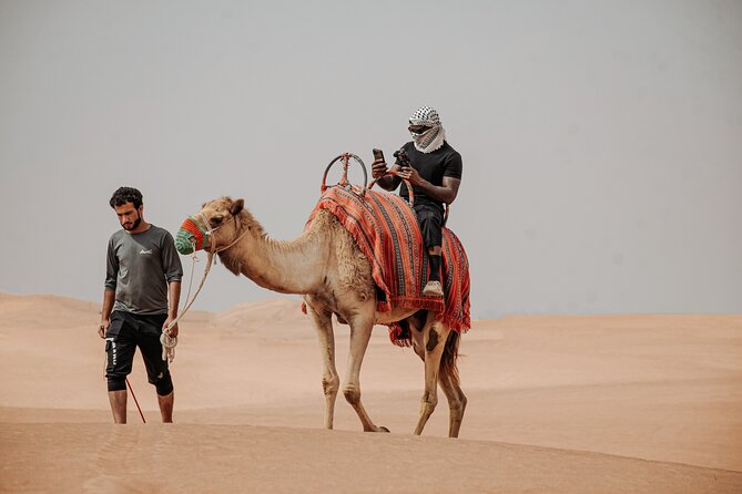 Combo Tour: Grand Mosque Visit & Dubai Desert Safari Experience - Who will enjoy this packed UAE day