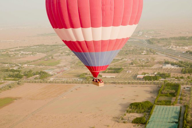 Deluxe Hot Air Balloon Ride with Breakfast & Flight Falcon Show - The in-flight falcon show and what to expect