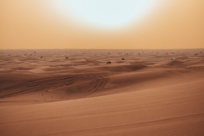 Deluxe Sunset Desert Safari: SandSurfing, Camel Ride & BBQ dinner - Thirty minutes of 4x4 dune bashing