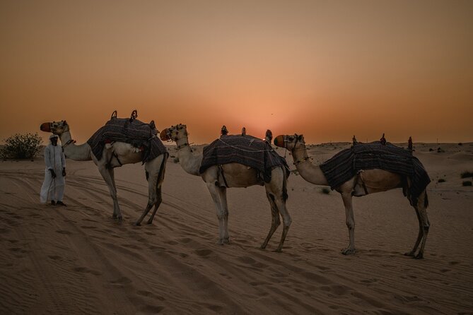 Deluxe Sunset Desert Safari: SandSurfing, Camel Ride & BBQ dinner - Sandboarding and sunset on the dunes