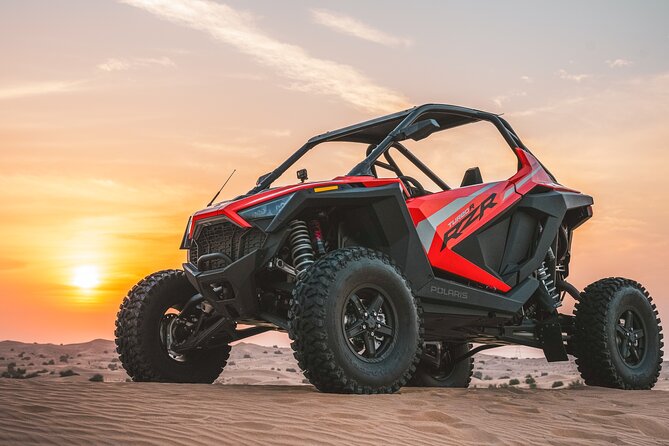 Desert Buggy Tours in Dubai - Who should book, and who should think twice