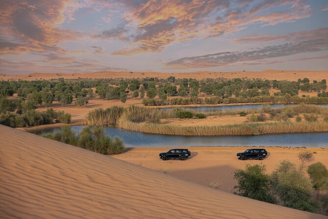 Desert Conservation Wildlife Drive & Breakfast at Al Maha Resort - From Dubai hotels to open sand