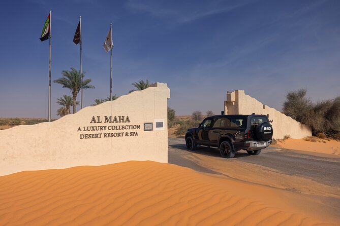 Desert Conservation Wildlife Drive & Breakfast at Al Maha Resort - Oryx, gazelles, and the limits of wildlife viewing