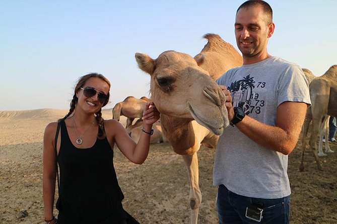 Desert Safari Abu Dhabi - Camel farm and short camel ride