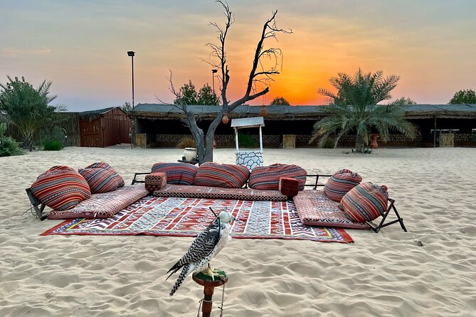 Desert Safari Abu Dhabi w/ Sand Boarding, Camel Ride & BBQ Dinner - Who will enjoy this Abu Dhabi safari?