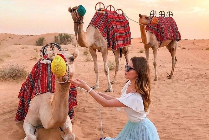 Desert Safari Adventure Dubai - Arriving at the desert camp