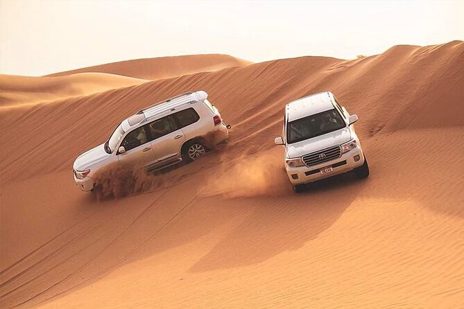 Desert Safari and Quad Bike Experience in Dubai with Dinner - Quick take: who will enjoy this desert safari