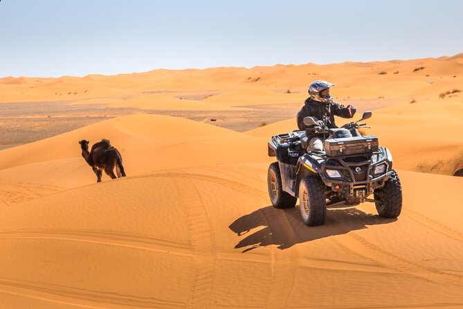 Desert Safari Dubai - Sunset, sandboarding, and the short camel ride