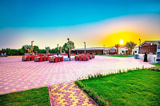 Desert Safari Dubai BBQ Dinner & Live Shows - BBQ dinner, snacks, and drinks