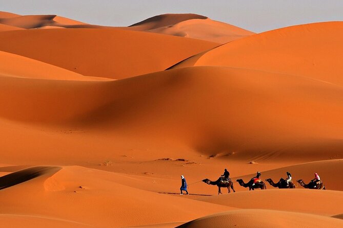 Desert Safari Dubai BBQ Dinner & Live Shows - Belly dancing, Arabic dancing, and fire