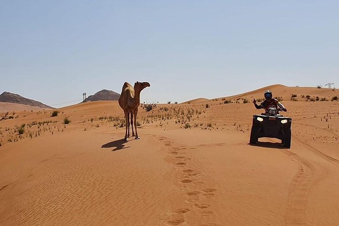 Desert Safari Dubai (PREMIUM VIP) - Quad bikes: fun, but not a wilderness ride