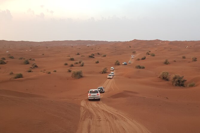 Desert Safari Dubai & Quad Bike with Dinner - Dune driving brings the first rush