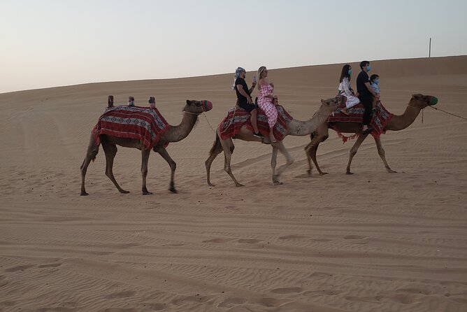 Desert Safari Dubai with Buffet Dinner & 3 live shows - What the 30 to 40 minute dune bash feels like