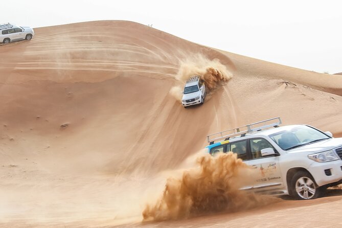 Desert Safari Experience with Dune Bashing and Dinner in Dubai - What dune bashing really feels like