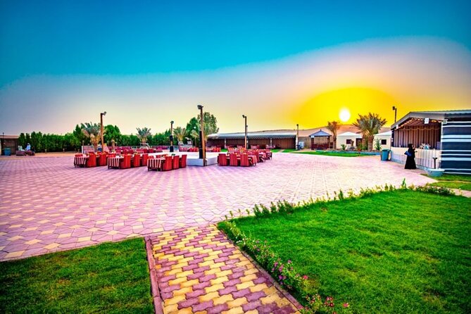 Desert Safari in 4x4 Car with BBQ Dinner and Belly Dance - What the $69.50 price actually covers