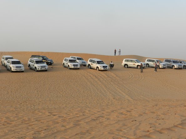 Desert Safari in a 4 x 4 with Sand Ski and Camel Ride from Dubai - Dune driving with the driver at the wheel