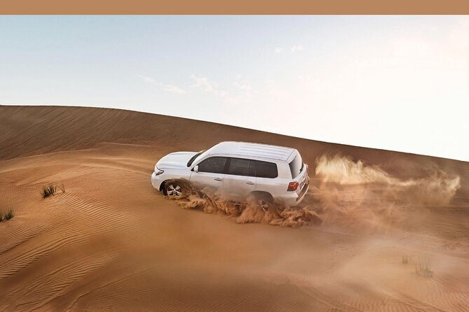 Desert Safari In Dubai With 4x4 Pick & Drop & Live Show - Key points to know before booking