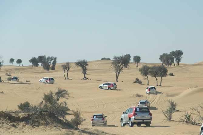 Desert Safari in Dubai with full package - no hidden cost - A six-hour desert outing from Dubai