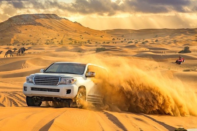 Desert Safari Morning with Camel Ride and Sand Boarding - Sunrise from a high dune