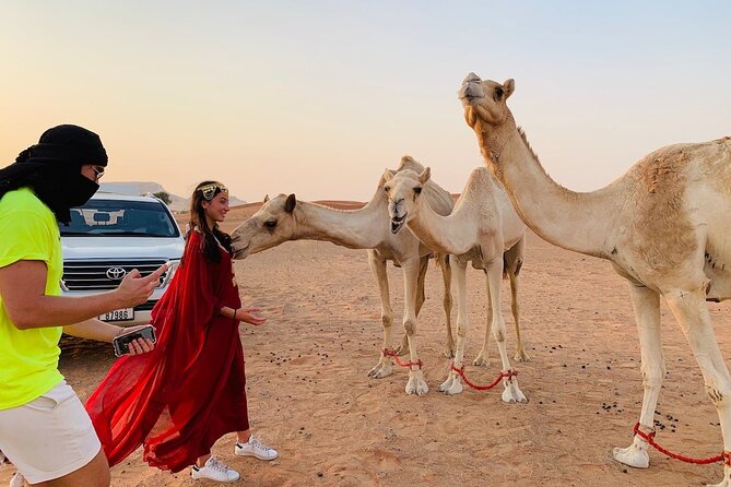 Desert Safari, Open Desert Quad Bike Experience with BBQ Dinner - BBQ dinner, soft drinks, and camp entertainment