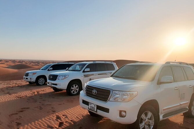 Desert Safari Quad Bike Activity with Dinner in Dubai - Four shows after dark