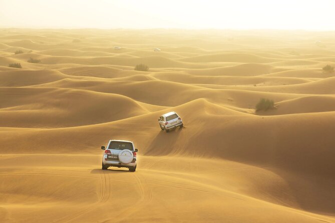 Desert Safari, Quad Biking, Sand Surfing and BBQ Dinner In Dubai - The short camel ride and camp welcome
