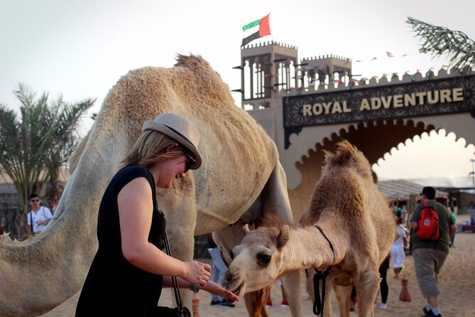 Desert Safari Quad Biking with Barbeque and Dubai City Tour - Sunset photographs and the desert camp