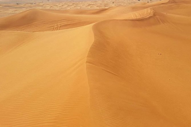 Desert Safari Red Dunes with Camel Ride, Sandboard, BBQ and Shows - Who Will Get the Most From This Safari?