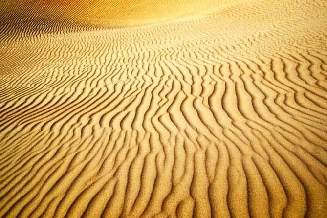 Desert Safari Red Dunes with Camel Ride, Sandboard, BBQ and Shows - Pickup at 3:30 pm and the Ride Into the Desert