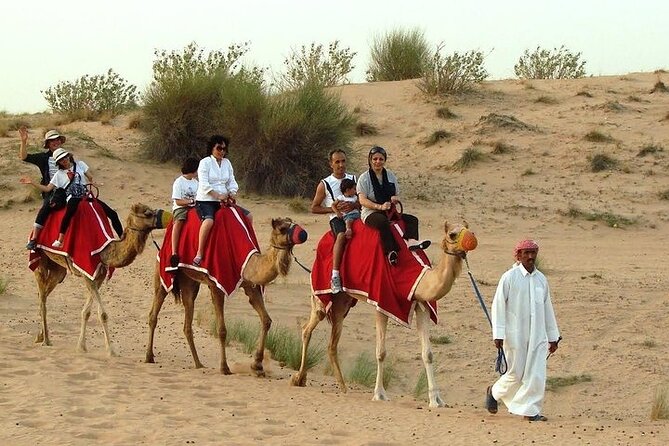 Desert Safari Tour, 6 Hour Fun, Family & Friends, Camel Ride & Dinner Included - Who will get the most from this $40 safari