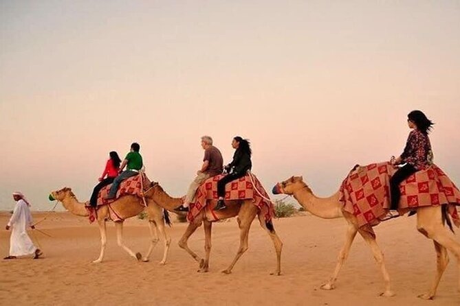 Desert Safari with BBQ Dinner, Camel Ride, Sand Board & Live Show - Lahbab refreshment stop: short, practical, and useful