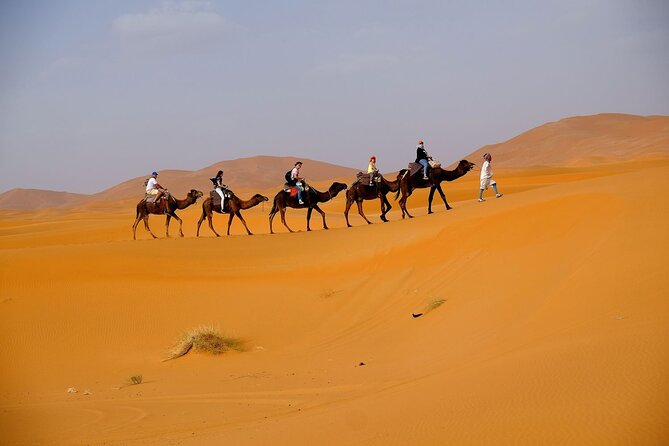 Desert Safari with BBQ Dinner from Dubai - A BBQ buffet with more than 20 food choices