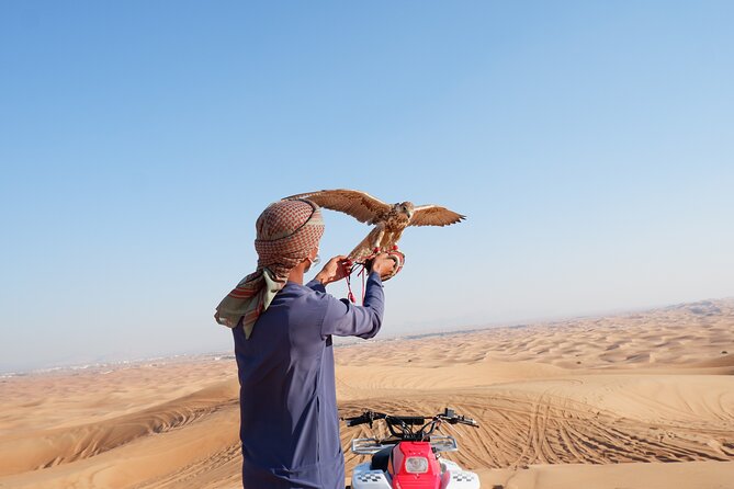 Desert Safari with BBQ Dinner (Quad Bike Optional) - BBQ Dinner and the Value of the VIP Option