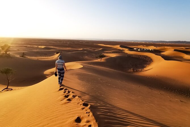 Desert Safari With BBQ Dinner, Quad Ride And And Sand-boarding - BBQ dinner and live entertainment